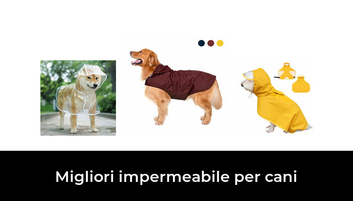 XL Chuajunn Set 4 Scarpe Anti-Pioggia per Piccoli Animali Domestici Antiscivolo per Cani di Piccola e Media Taglia e Gatti in Silicone Impermeabile