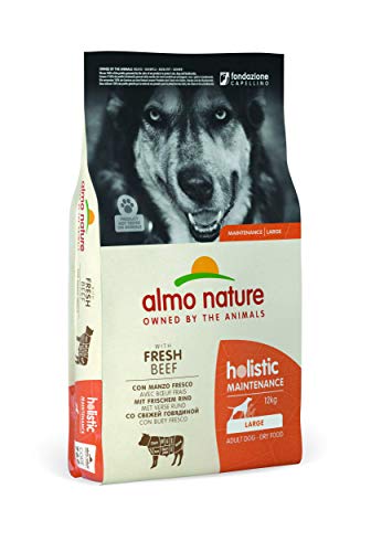 almo nature Holistic Maintenance Large con Manzo Fresco - crocchette Premium per Cani Adulti con Carne Fresca - specifico per Cani di Taglia Large - No OGM -Sacco 12kg