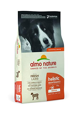 almo nature Holistic Maintenance Medium con Agnello Fresco - crocchette Premium per Cani Adulti con Carne Fresca - specifico per Cani di Taglia Medium - No OGM - Sacco 12kg