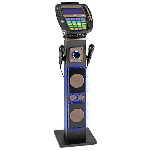 AUNA KaraBig - Karaoke con Microfono, Cassa Karaoke, Bluetooth, 2 Microfoni Dinamici, Funzione di Registrazione, Effetti LED, Lettore CG+G, Uscita Video, Porta USB, Grigio