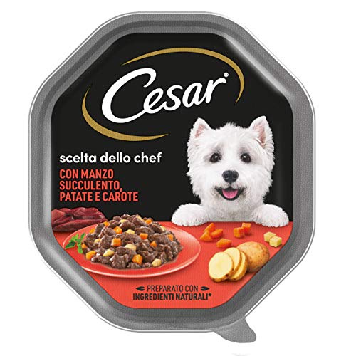 Cesar Scelta dello Chef Cibo per Cane, Delizie di Stagione con Manzo Succulento, Patate e Carote 150 g - 14 Vaschette