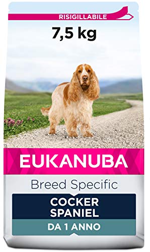 Eukanuba Breed Specific Alimento Secco per Cocker Spaniel Adulti, Cibo per Cani Adattato in Modo Ottimale alla Razza 7.5 kg