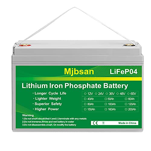 Lifepo4 12V100Ah Batteria al litio da, batteria al litio e fosfato LiFePO4, ideale per RMS camper, Marine e Off-The-Grid Applications più di 7000 batterie a ciclo profondo