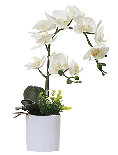 Olrla Bianco phalaenopsis Artificiale Orchid Bonsai con Vaso di Ceramica Wedding Party Garden Home Decor (Bianco 2)