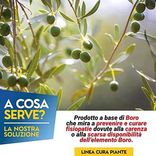 Albagarden - Boro Complex Concime Per Olivo Liquido Per Piante Verd...