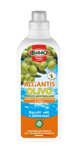 Antika Officina Botanika ALGANTIS OLIVO, Concime energizzante con Boro e Ascophillum Nodosum per Olivo e Piante Mediterranee, flacone da 1 kg