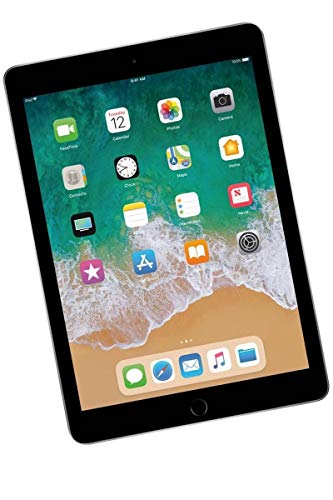 Apple iPad 9.7 (5th Gen) 128GB Wi-Fi - Grigio Siderale (Ricondizion...