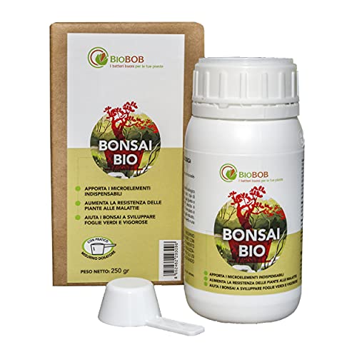 BIOBOB Concime per Pianta Bonsai 250 ml concentrato Bio – Aiuta i Bonsai in Vaso ad Avere la nutrizione necessaria – Indispensabile nel Tuo Kit per Bonsai – Fertilizzante Che rivitalizza Il Terriccio