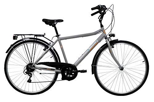 Discovery Bicicletta Uomo, Bici Trekking Manhattan 28   Cambio Shimano 6 velocità, Colore Metal, Silver Metallizzato, 28