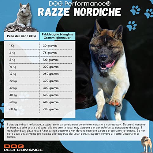 DOG Performance Crocchette per Cani Super Premium Adult Akita e Raz...