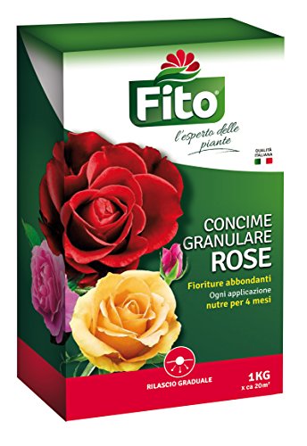 Fito Rose GRANULARE...