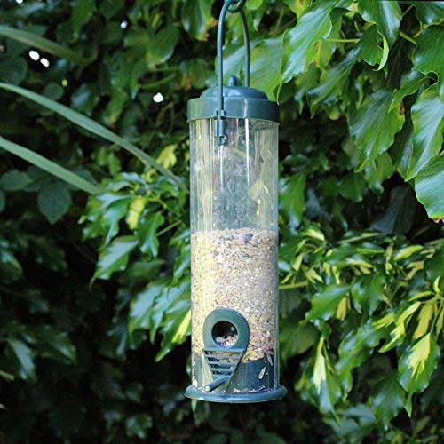 Garden Mile - Mangiatoia per uccelli da appendere, per torte, per giardino, giardino, cortile, ideale per uccelli selvatici, mangimi standard (verde)