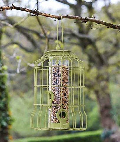 Garden Mile - Mangiatoia per uccelli selvatici ad alta energia, ideale per esterni, giardino, uccelli, semi di noci e scoiattoli, ideale come mangiatoia per semi di scoiattoli