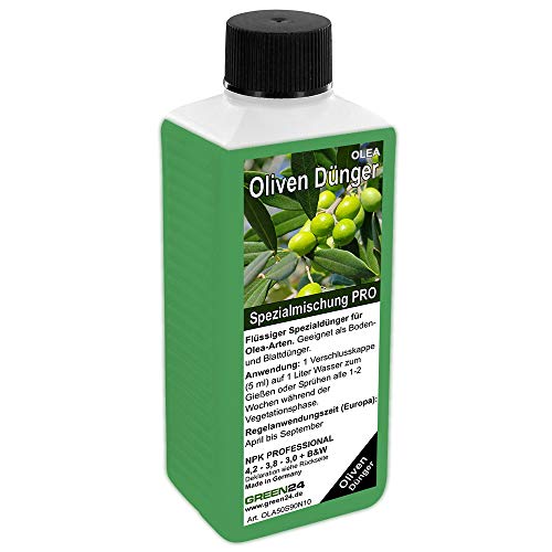 GREEN24 Fertilizzante per olivi, High-Tech Olea Npk, per Piante in Aiuola O in Vaso