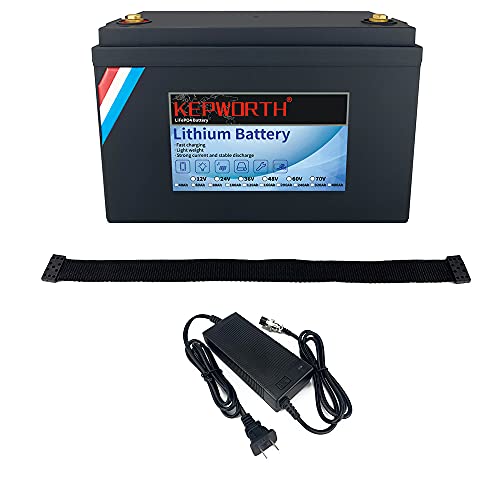 LifePo4 Battery 100ah 12v 3000-7000 Deep Cycles with BMS Lithium Iron for RV Campers Solar Marine caravans golf carts Energy Reserve Power Supply Emergency Lighting Include 10A Charger