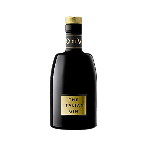 ODEV Gin Black, Gin di Origine Vinosa, ottenuto Prevalentemente dalla Distillazione di Vino Parzialmente Fermentato, 0.70 LT, 47% Vol, Made in Italy