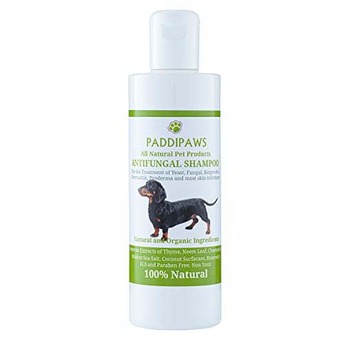 PADDIPAWS Shampoo 100% naturale antimicotico e antibatterico per cani, infezioni da lievito, tigna, dermatiti, piodermite, ingredienti naturali sicuri, senza parabeni e SLS