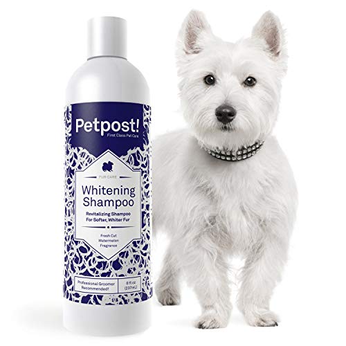 Petpost | Shampoo sbiancante per Cani – Il miglior Trattamento sbiancante per Cani con Pelo Bianco – Profumo calmante di Anguria – Approvato per Maltese, Shih Tzu, Bichon Frise – 474 mL