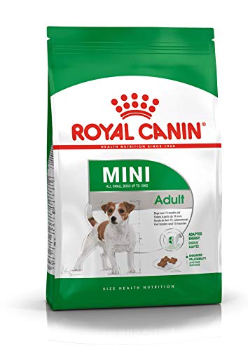 Royal Canin Alimento Cane Mini Adult - 2000 gr