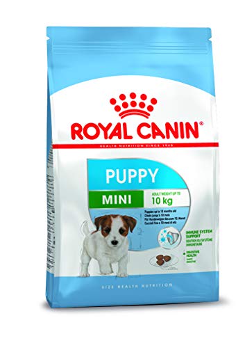 Royal Canin Mini Junior Cibo secco per cuccioli fino a 10 mesi, 4 Kg