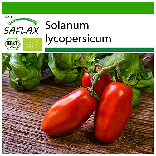 SAFLAX - BIO - Pomodoro - San Marzano - 15 semi - Solanum lycopersicum
