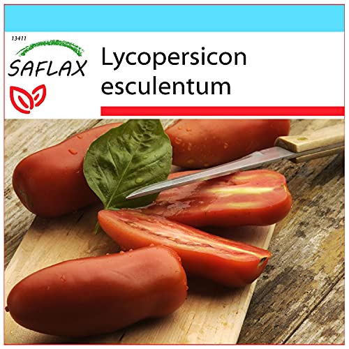 SAFLAX - Confezione regalo - Pomodoro San Marzano - 10 semi - Lycopersicon esculentum