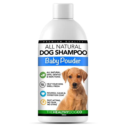 The Healthy Dog Co Shampoo e Balsamo per Cani al Talco Tutto Naturale | 500ml | Shampoo per Cani Profumato | Il Miglior Shampoo per Animali per Lavare Il Tuo Cane Senza Prurito e in Tutta Sicurezza