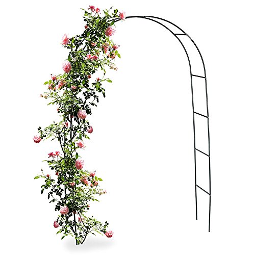 BAKAJI Arco da Giardino Supporto per Rose Piante Rampicanti in Metallo 140 x 35 x 240H Colore Verde Scuro