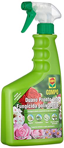 COMPO Duaxo Pronto Uso, Fungicida Polivalente, Per la Protezione delle Piante Ornamentali da casa e da giardino, 750 ml