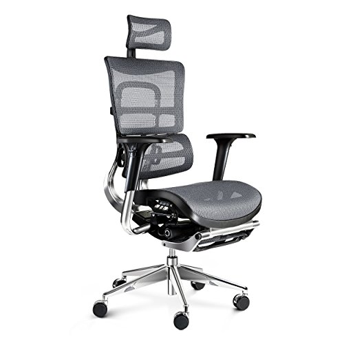 Diablo V-Master sedia da ufficio ergonomica, poggiatesta, braccioli regolabili, poggiapiedi regolabile, rete di alta qualità, regolabile in altezza, scelta del colore (grigio-nero)