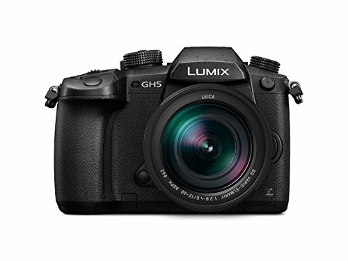 Panasonic Lumix G – Fotocamera EVIL con foto e Videos en 6 K, ...