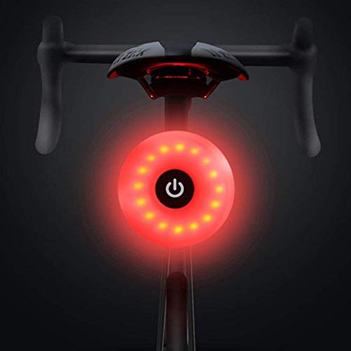 WASAGA Luce Posteriore per Bicicletta, LED USB Ricaricabile Impermeabile Avvertimento 5 modalità Luce Posteriore (Grigio)