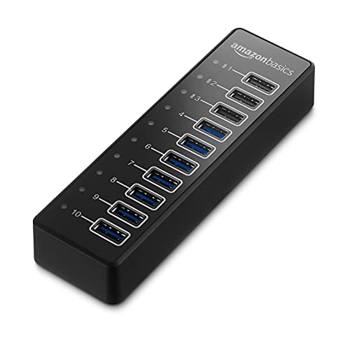 Amazon Basics - Hub USB-A 3.1, 10 porte, con alimentatore - 65 W (20 V 3,25 A), Nero