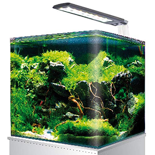 AMTRA NANOTANK SYSTEM 20   Acquario in vetro completo di luce LED e filtro   cm 25x25x30   18 Litri
