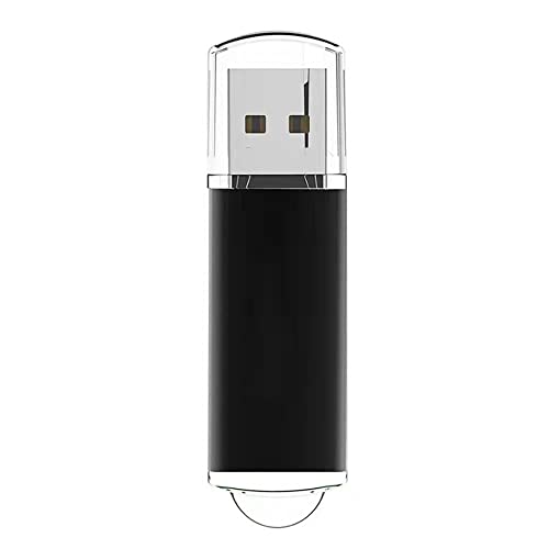 Chiavetta USB 64 GB, USB 2.0 Flash drive, con Rivestimento in Metallo Resistente ed Elegante
