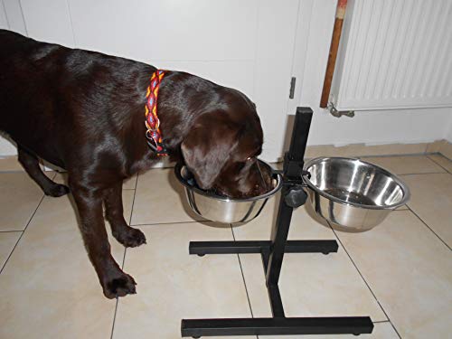 Ciotole per Cani con Supporto (2 x 1,8 lt ø19 cm) Dog Food Bowl