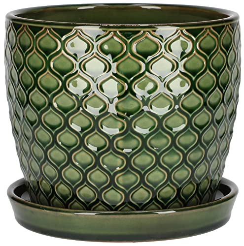 KOTARBAU - Vaso da fiori in ceramica per piante, diametro 17 cm, ...