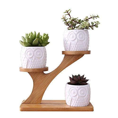 LINGLAN 1 set gufo in ceramica vasi da giardino moderno decorativo cameretta succulente piante vasi da fiori fioriere 3 bonsai con mensola ripiani in bambù
