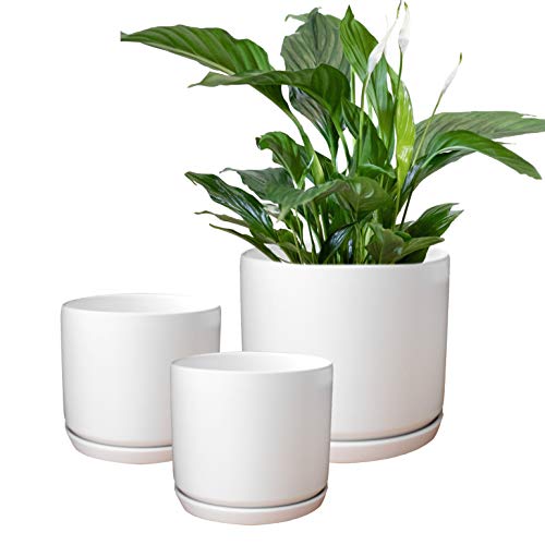 Set di 3 vasi per piante da giardino in ceramica bianca opaca con sottovaso, per interni ed esterni, rotondi (bianco opaco)