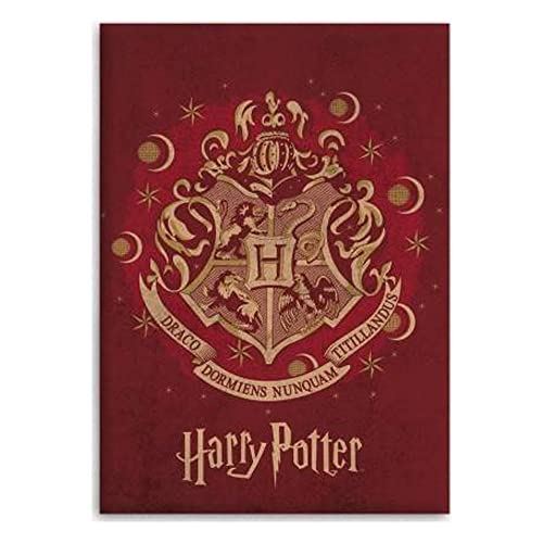 Coperta Polar Hogwarts Harry Potter 140 X 100 CM...