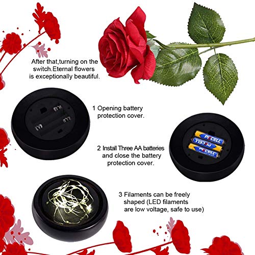E-MANIS Kit di Rose,La Bella e La Bestia Rose Incantate,Elegante Cu...