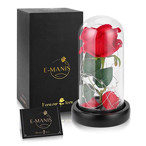 E-MANIS Kit di Rose,La Bella e La Bestia Rose Incantate,Elegante Cu...