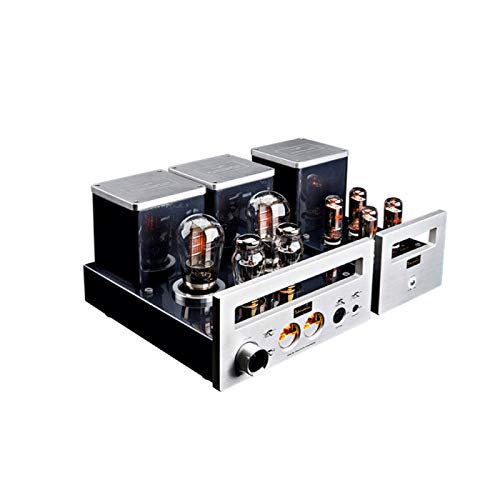 oneforus Amplificatore HA-300 Amplificatore di Potenza per Cuffie con Tubo a Vuoto Diviso Preamplificatore Audio Stereo Ad Alta fedeltà
