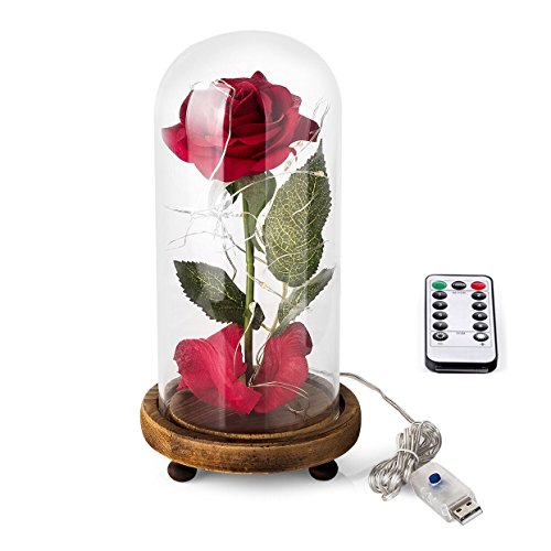 Schönheit und das Biest Rose Kit, Rose und LED-Licht in Glaskuppel...