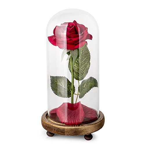 Schönheit und das Biest Rose Kit, Rose und LED-Licht in Glaskuppel...