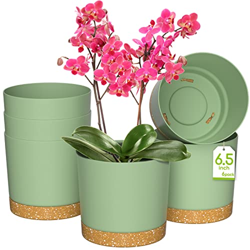 Zmtech - Set di 6 vasi da fiori con sottovaso, in plastica moderna, autoirrigante, da dipingere, per interni ed esterni, piante grasse, cactus, orchidee (verde)