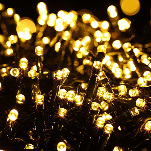 BrizLabs Luci Albero di Natale Esterno, 20M 750 LED Catena Luminosa...