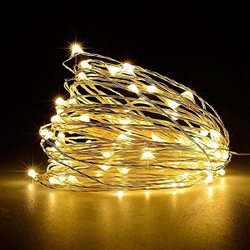 Jsdoin Natale Luci Stringa, 5M 50 LED Catene Luminose con Filo Rame...
