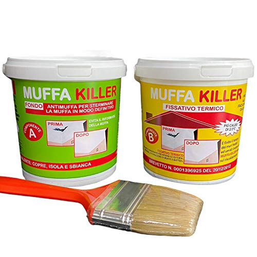 Kit Antimuffa Muffa Killer componente A+B da 1 litro + 1 litro, pittura antimuffa per interni per eliminare definitivamente la muffa dai muri