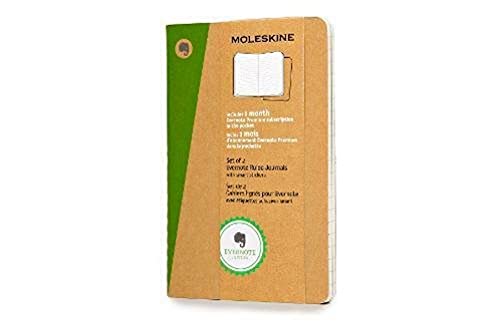 Moleskine Evernote Smart Notebook: Pocket, Ruled - Set of 2